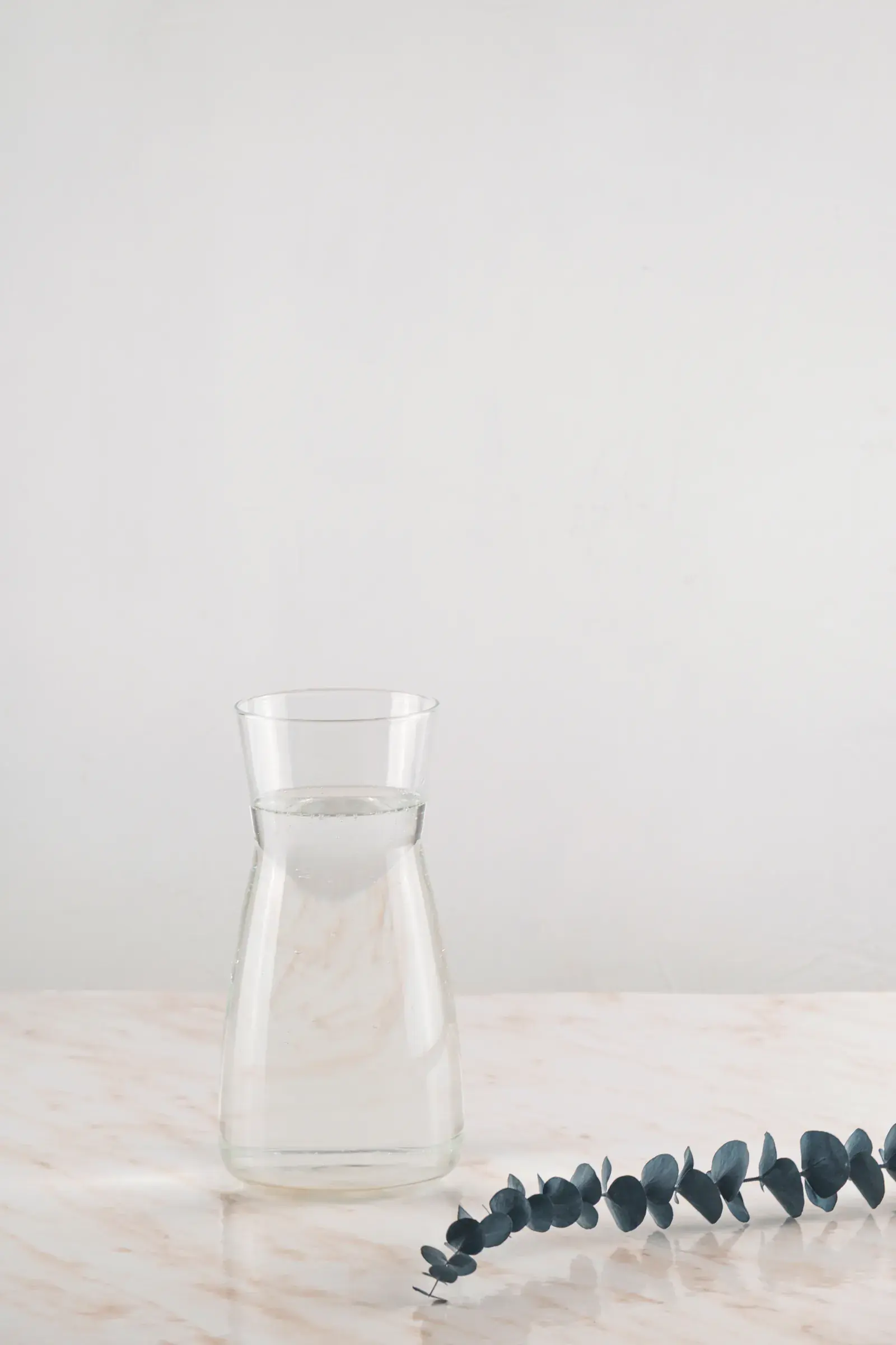 A glass carafe of water and a eucalyptus sprig on a marble table.