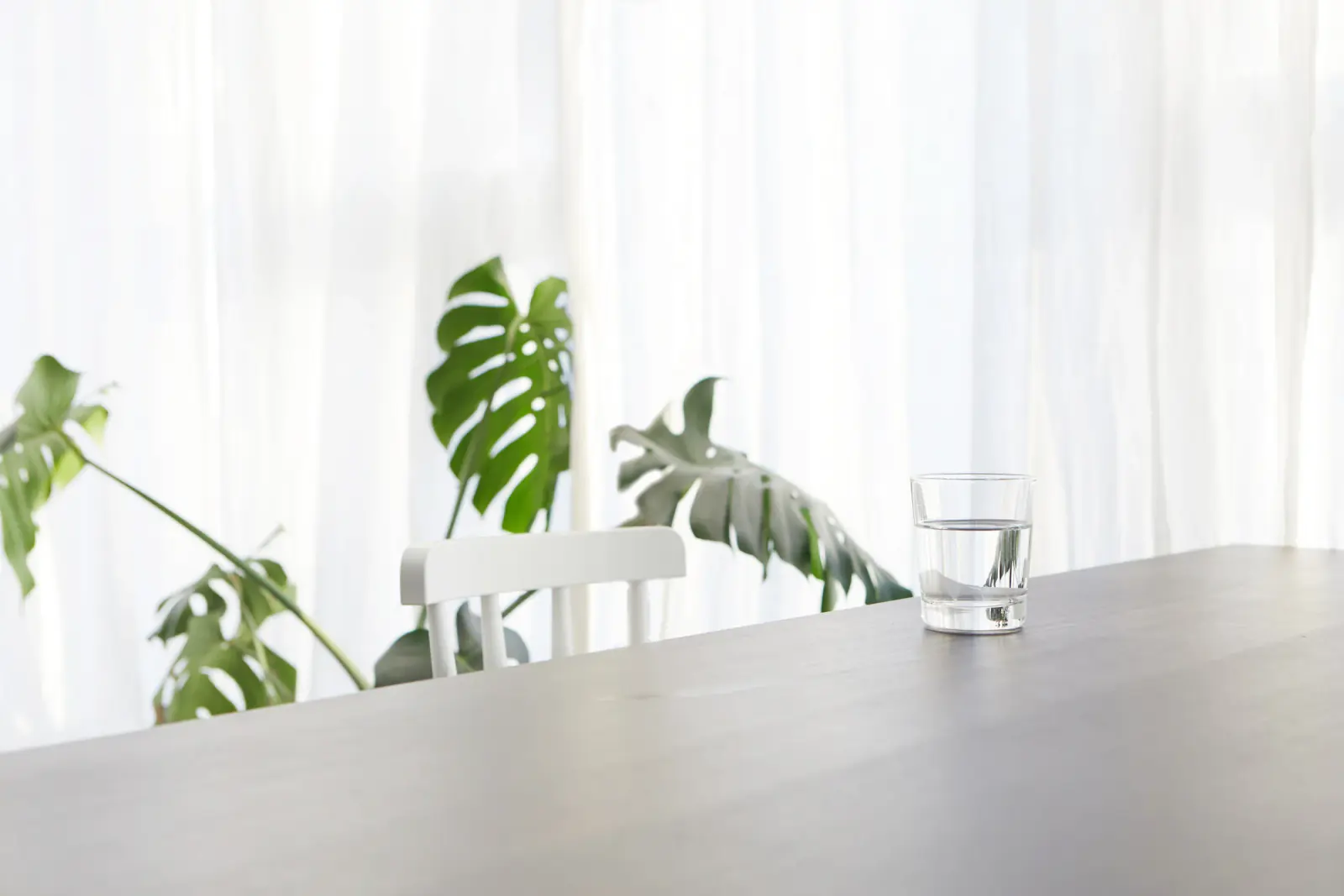 A glass of water on a grey table, with monstera plants and sheer curtains behind.